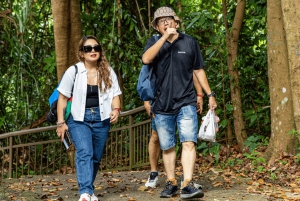 Singapore Faber Peak guidet gåtur med frokost