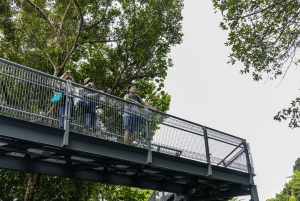 Singapore Faber Peak guidet gåtur med frokost