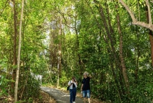 Singapore Faber Peak guidet gåtur med frokost