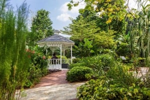 Singapore Faber Peak guidet gåtur med frokost