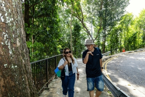 Singapore Faber Peak guidet gåtur med frokost
