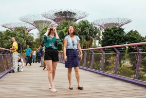 Singapore: Private Tour w/ Locals – Highlights & Hidden Gems
