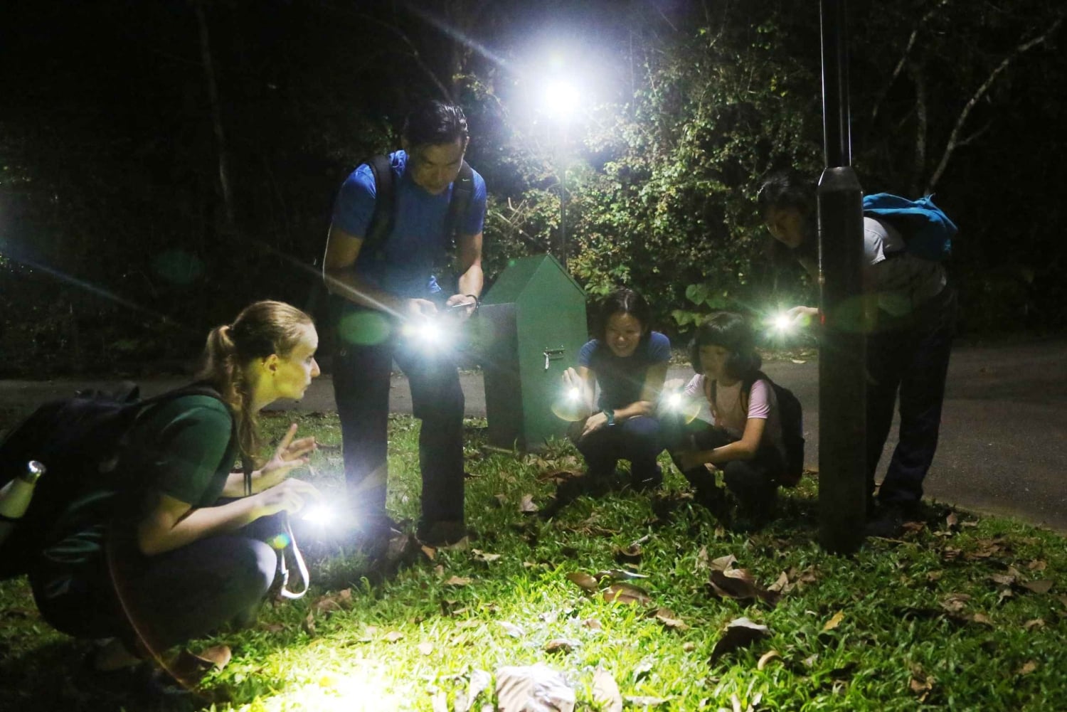 Singapore: Flight of the Colugo Night Tour