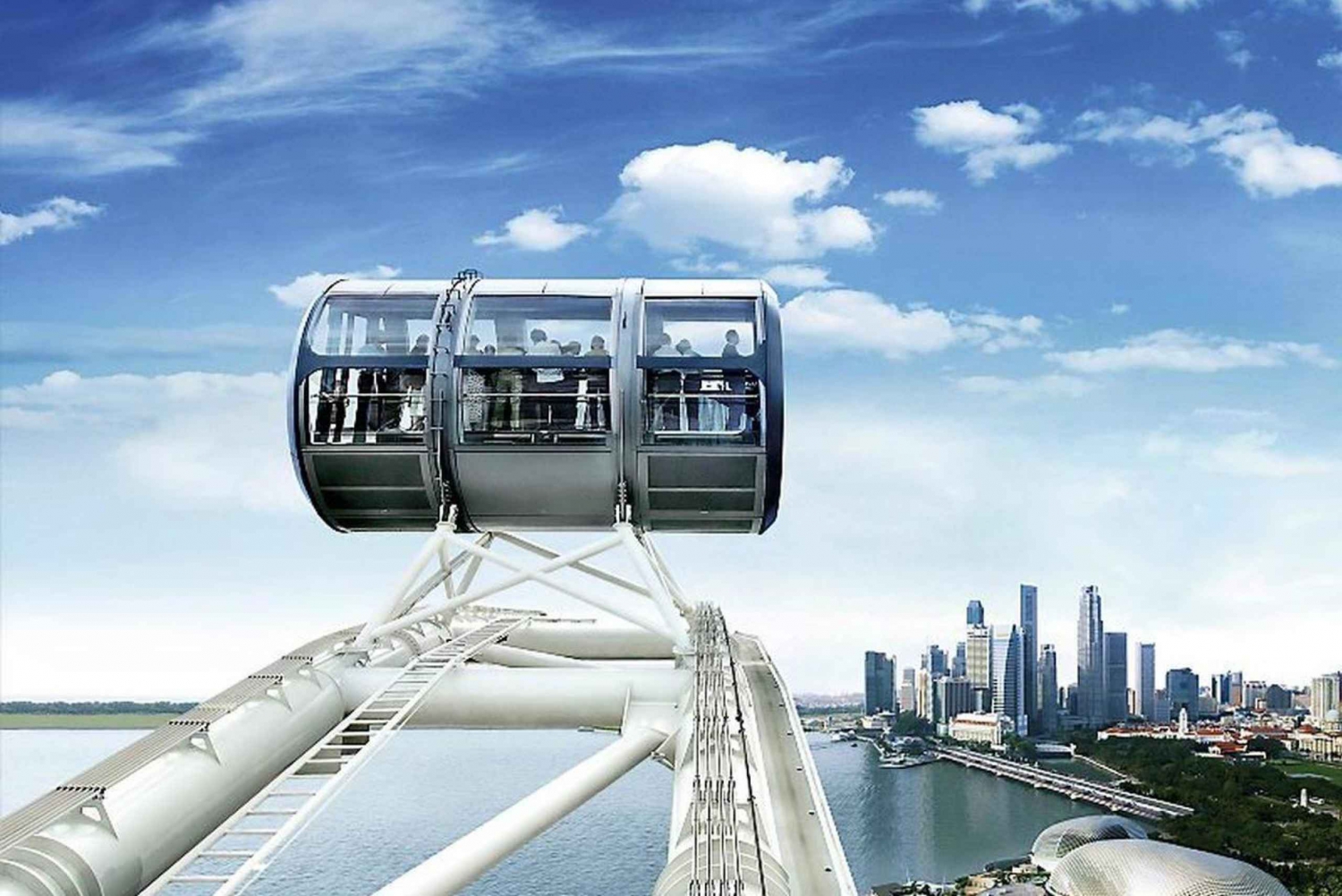Singapore: Flyer & Gardens by the Bay Ticket Bundle