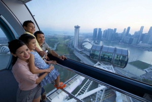 Singapore: Flyer & Gardens by the Bay Ticket Bundle