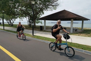 Singapore: Food and Bicycle Tour