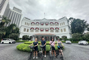 Singapore: Food and Bike Tour - Downtown