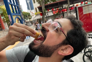 Singapore: Tour gastronomico e in bicicletta - Centro città