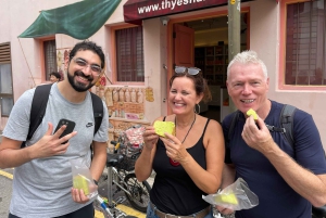 Singapore: Tour gastronomico e in bicicletta - Centro città