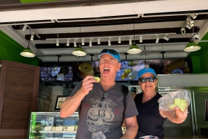 Singapore: Tour gastronomico e in bicicletta - Centro città