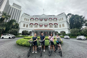 Singapore: Tour gastronomico e in bicicletta - Centro città