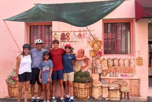 Singapore: Tour gastronomico e in bicicletta - Centro città