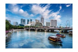 Singapura: excursão de meio dia ou dia inteiro de carro pela cidade (MBS, Chinatown)