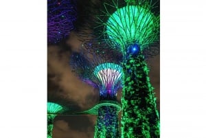 Singapura: excursão de meio dia ou dia inteiro de carro pela cidade (MBS, Chinatown)
