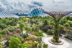 Singapore Garden City: Iconic Landmarks, Parks & Best Views