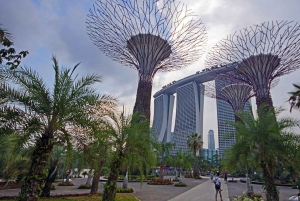 Singapore Garden City: monumenti iconici, parchi e panorami mozzafiato