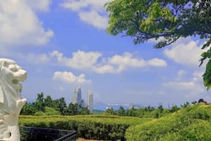Singapore Garden City: monumenti iconici, parchi e panorami mozzafiato