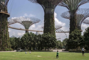 Singapore Garden City: monumenti iconici, parchi e panorami mozzafiato