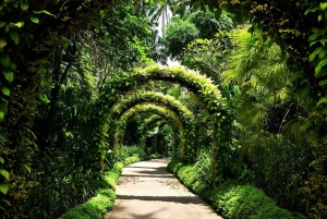 Singapore Garden City: monumenti iconici, parchi e panorami mozzafiato