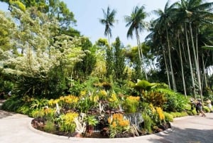 Singapore Garden City: monumenti iconici, parchi e panorami mozzafiato