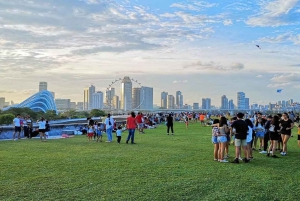 Singapore: Garden City Iconic Landmarks Tour & Minivan