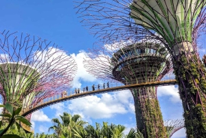 Singapore: Garden City Iconic Landmarks Tour & Minivan