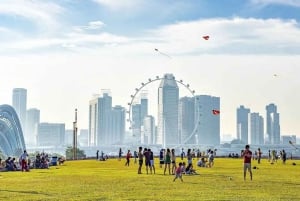 Singapore: Garden City Iconic Landmarks Tour & Minivan