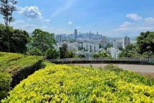 Singapore: Garden City Iconic Landmarks Tour & Minivan