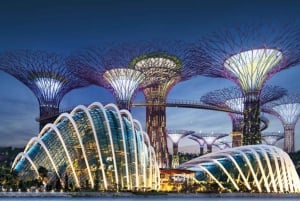 Singapore: Gardens by the Bay & Jurassic World med afhentning