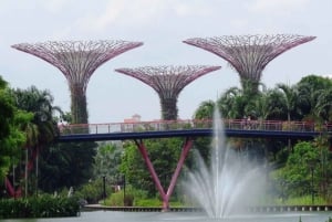 Singapore: Gardens by the Bay & Jurassic World med afhentning