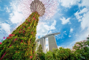 Singapore: Gardens and Satay by The Bay Private Guided Tour