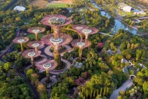 Singapore: Gardens by the Bay & Jurassic World med afhentning