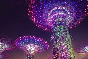 Singapore: Gardens by the Bay & Jurassic World med afhentning