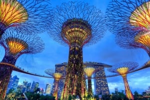 Singapore: Gardens and Satay by The Bay Private Guided Tour