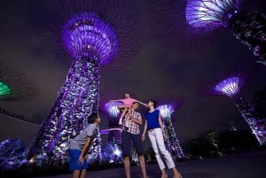 Singapore: Gardens by the Bay Accessible Guided Tour