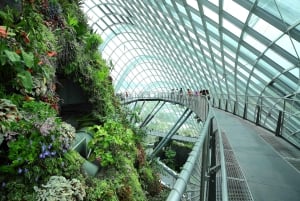 Singapore: Gardens by the Bay Accessible Guided Tour