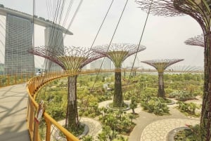 Singapore: Gardens by the Bay Admission E-Ticket