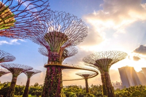 Singapore: Gardens by the Bay Entry Ticket