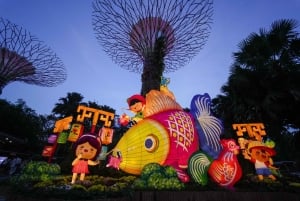 Singapore: Gardens by the Bay Entry Ticket Combo