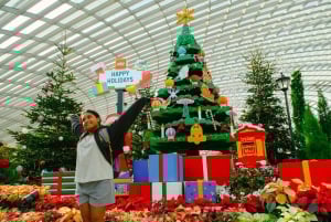 Singapore: Gardens by the Bay Entry Ticket Combo