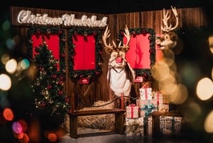 Singapore: Gardens by the Bay Entry Ticket Combo