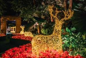 Singapore: Gardens by the Bay Entry Ticket Combo