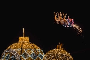 Singapore: Gardens by the Bay Entry Ticket Combo