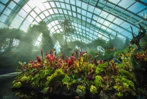 Singapore: Gardens by the Bay Entry Ticket Combo