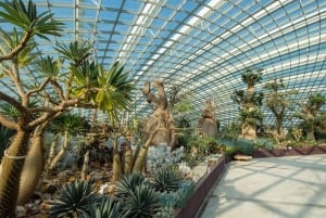Singapore: Gardens by the Bay Entry Ticket Combo