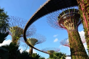 Singapore: Gardens by the Bay Guided Tour/Photography/Dinner