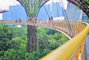 Singapore: Gardens by the Bay Guided Tour/Photography/Dinner