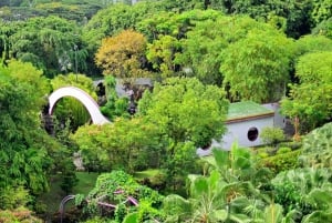 Singapore: Gardens by the Bay Guided Tour/Photography/Dinner