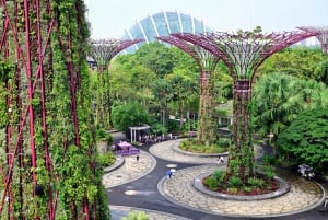 Singapore: Gardens by the Bay Guided Tour/Photography/Dinner