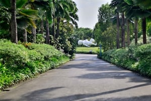 Singapore: Gardens by the Bay Guided Tour/Photography/Dinner